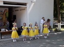 Смышленый совенок 2019